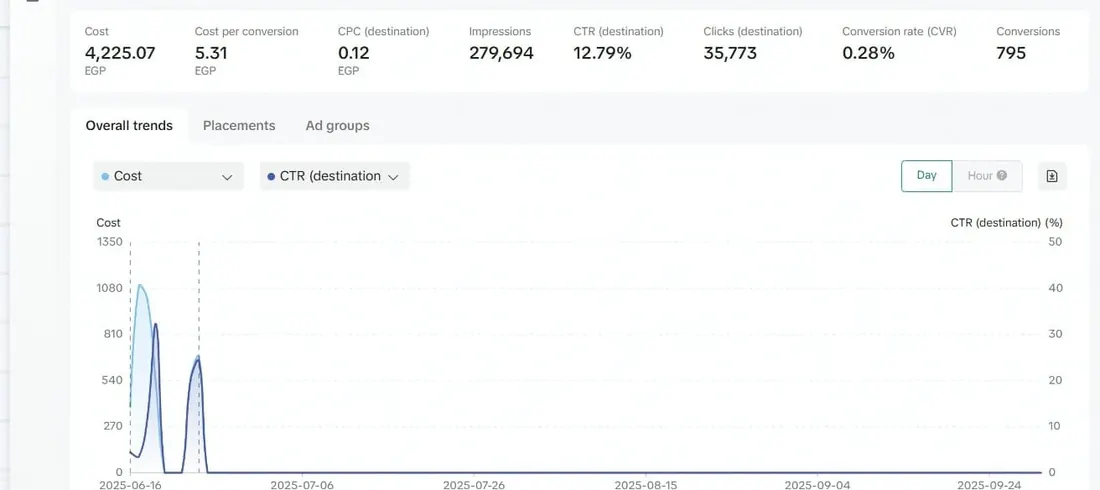 TikTok Ads campaign results