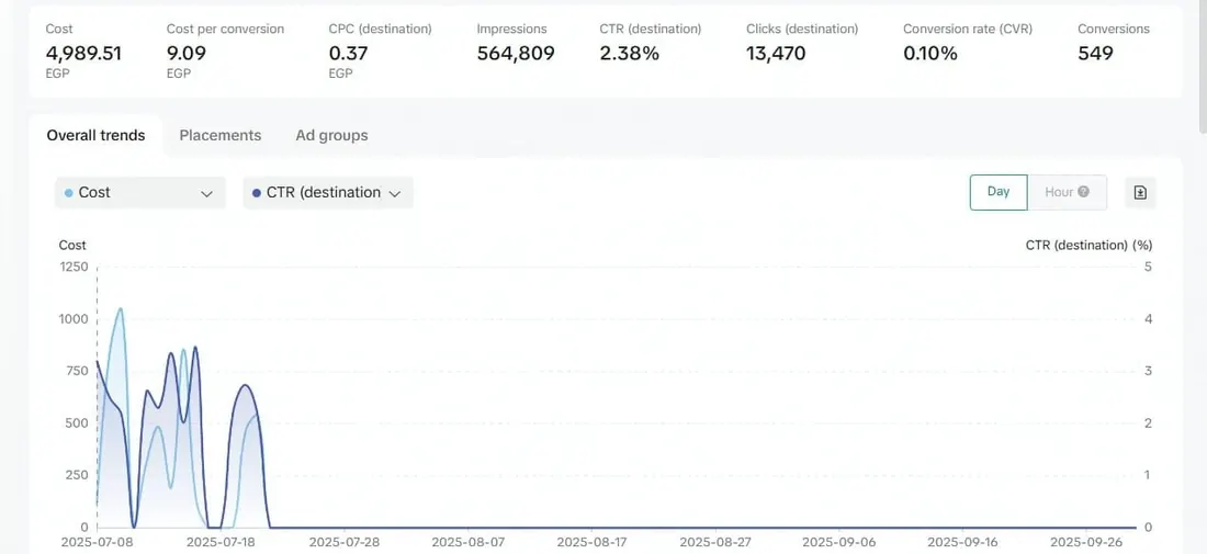 TikTok Ads campaign results